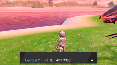 ポケモン まくらびんブログ